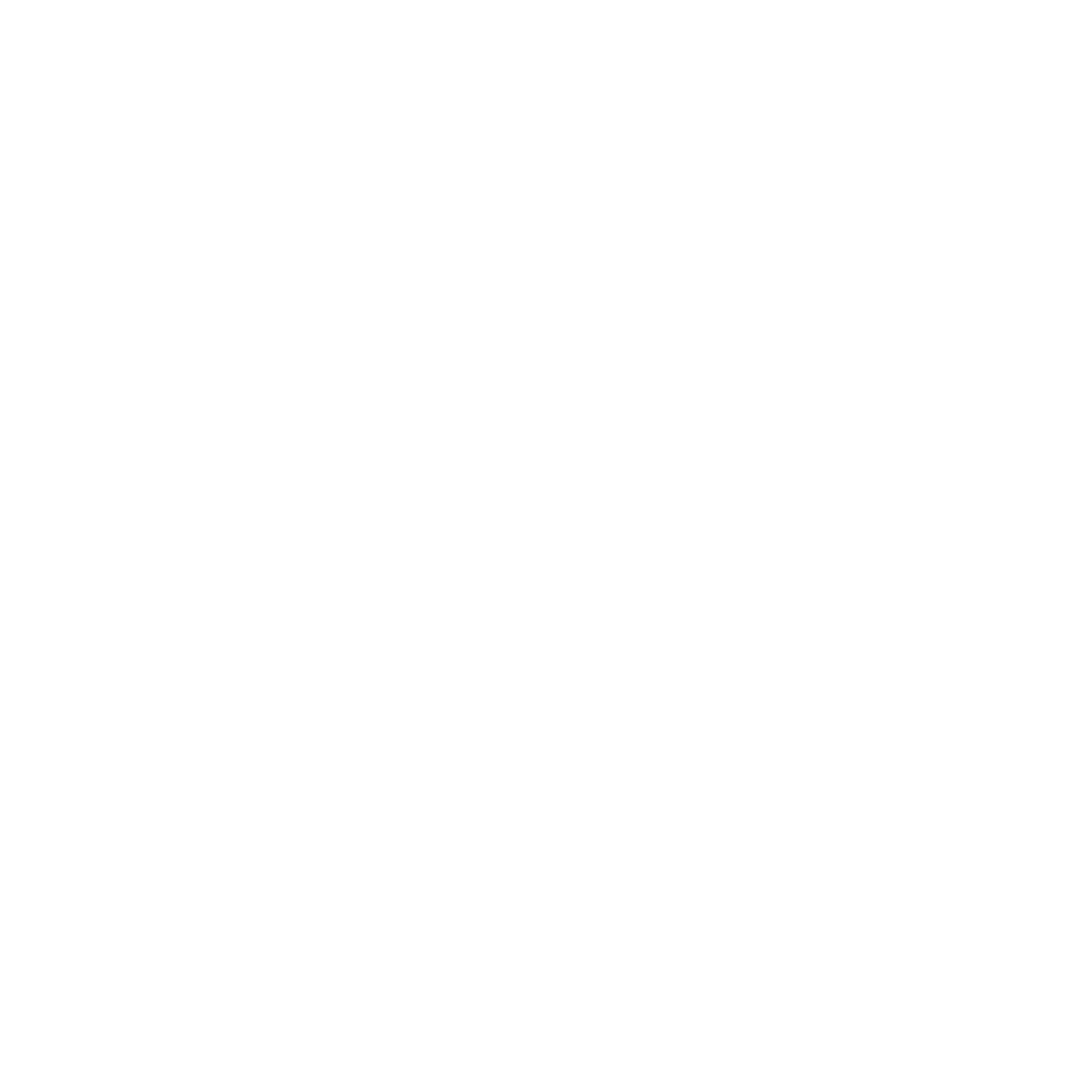 Stabilization Icon
